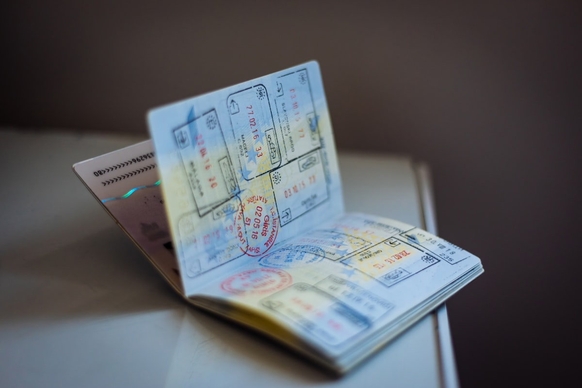passport and visa stamps